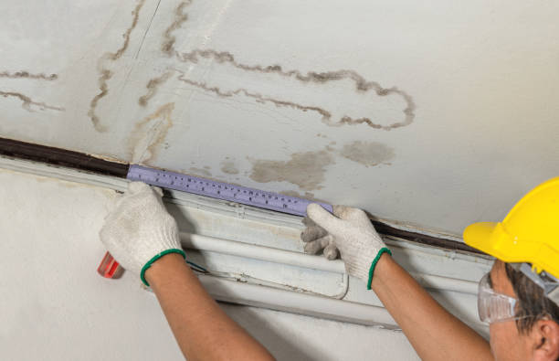 Reliable Basement Water Removal contractor in Valleyford, WA by Water Damage Irwin